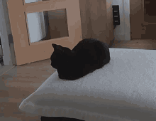 Black Cat Surprised GIF - Black Cat Surprised Reaction Cat GIFs