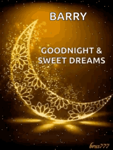 Moon Good Night GIF
