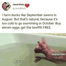 a picture of a cat swimming in a bathtub with a caption that says " i farm ducks like september swims in august "