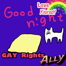 a poster that says good night gay rights ally with a rainbow in the background