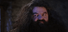 a man with long hair and a beard says you 're a snicker james