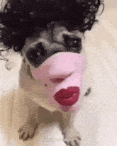 a pug dog wearing a pink mask with red lips