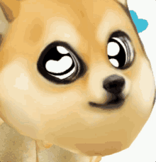 a close up of a dog 's face with large eyes