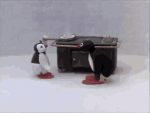 pingu noot noot penguin cute cartoon