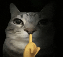 a painting of a cat with a yellow finger in front of its mouth