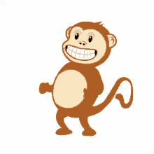 Skype Monkey GIFs | Tenor