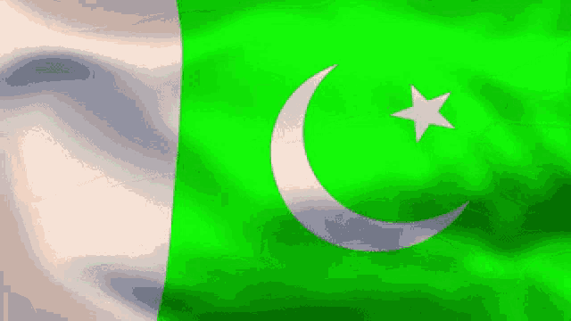 Pakistan Flag GIF - Pakistan Flag - Discover & Share GIFs