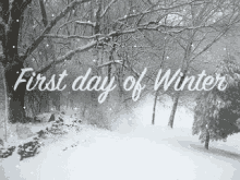 First Day Of Winter Happy Winter GIF - First Day Of Winter Happy Winter Snowing GIFs