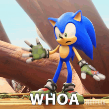 Whoa Sonic The Hedgehog GIF - Whoa Sonic The Hedgehog Sonic Prime GIFs