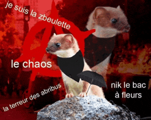 a weasel wearing a black scarf and holding an umbrella says je suis la zbouette