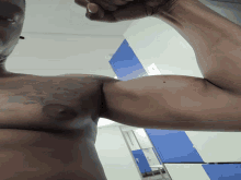 Biceps Exercise GIF - Biceps Exercise Muscles GIFs