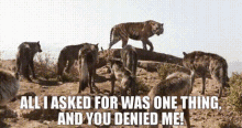 The Jungle Book Shere Khan GIF - The Jungle Book Shere Khan All I Asked For Was One Thing GIFs