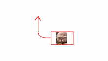 a red arrow points to a picture of a pig