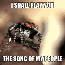 Spider Song GIF - Spider Song GIFs