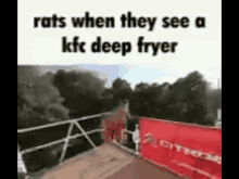 Rats Kfc Deep Fryer GIF
