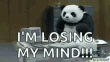 wtf panda beat up commercial pand cheese say no to panda