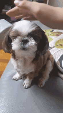 GIF