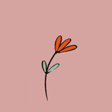 a drawing of a butterfly with a black wing on a pink background