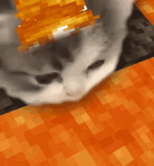 Slurp Cat GIF
