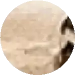 a close up of a circle with a brick wall in the background