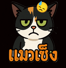 a black and white cat with a sad face on its head and the word ' angry ' in orange