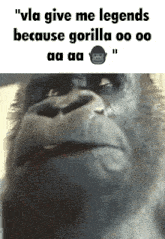 monkey gorilla vla legends heheheha