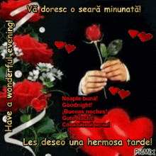 a picture of a person holding a red rose with the words have a wonderful evening