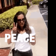 Peace Peaceout GIF - Peace Peaceout Peacelove GIFs