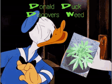 Donald Duck Weed GIF - Donald Duck Weed Pot GIFs