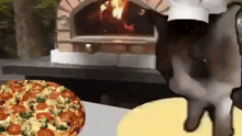 Cat Makin Pizza GIF