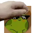 a cat 's paw is reaching for a frog wearing sunglasses .