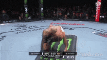 a man is laying on a mat in a boxing ring with a budweiser ad in the background
