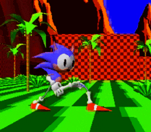 a sonic the hedgehog video game scene with a checkered wall in the background