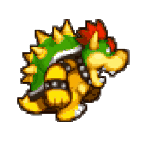 bowser is a cartoon character from the video game mario bros .
