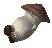 a mushroom with a brown hat and a white body
