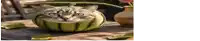 a cat is sitting inside of a watermelon .