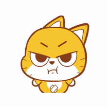 animal kitty cat cute angry