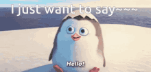 penguin hello i just want to say wave greet