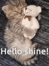 Forshine Hi Shine GIF - Forshine Hi Shine Hell9o Shine GIFs
