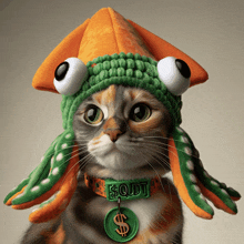 Cat Wif Squid Hat GIF