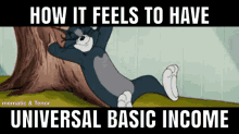 universal basic income ubi tom and jerry cat relax
