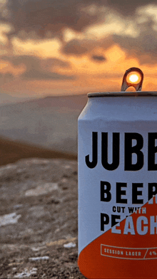 Jubel Sunset GIF - Jubel Sunset Beer GIFs