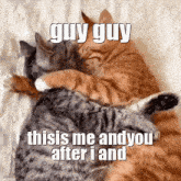 Cat Meme Cats Love GIF - Cat Meme Cats Love Cute GIFs