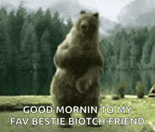 a bear standing on its hind legs with the words good mornin to my fav bestie biotch friend written below it