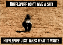 Hufflepuff GIF