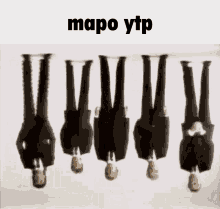 Mapo Ytp Mapo GIF - Mapo Ytp Mapo Ytp GIFs
