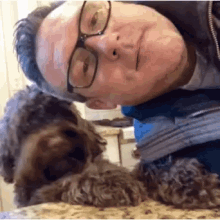 Labradoodle Dogs GIF - Labradoodle Dogs Pets GIFs