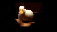 two ducks are standing next to each other in a dark room