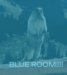 Blue Room Sigma Groundhog GIF - Blue Room Sigma Groundhog GIFs