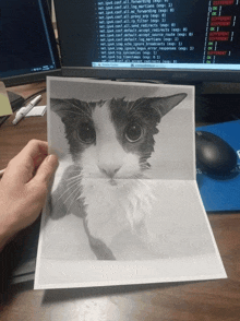 a person holding a picture of a cat in front of a computer monitor